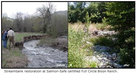 Streambank restoration